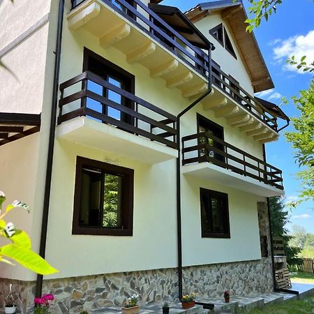 Hotel Cabana Din Padure Porumbacu de Sus Zewnętrze zdjęcie