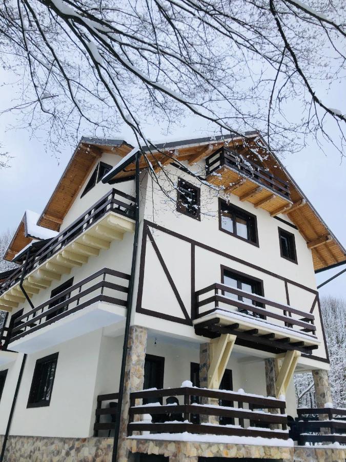 Hotel Cabana Din Padure Porumbacu de Sus Zewnętrze zdjęcie
