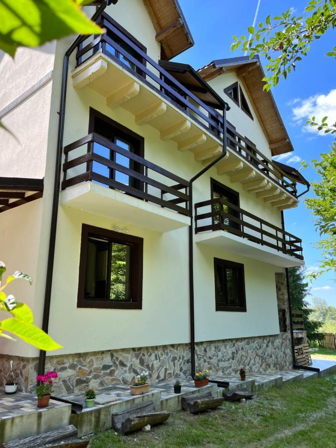 Hotel Cabana Din Padure Porumbacu de Sus Zewnętrze zdjęcie