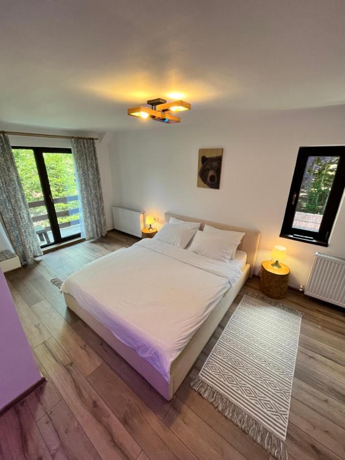 Hotel Cabana Din Padure Porumbacu de Sus Zewnętrze zdjęcie