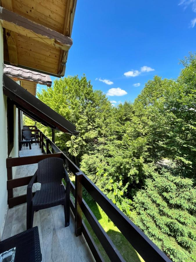 Hotel Cabana Din Padure Porumbacu de Sus Zewnętrze zdjęcie