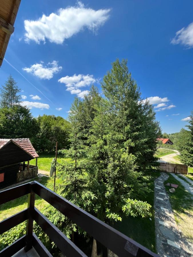 Hotel Cabana Din Padure Porumbacu de Sus Zewnętrze zdjęcie