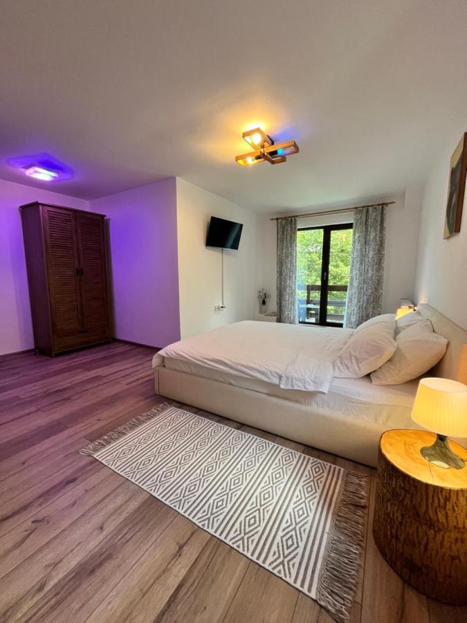 Hotel Cabana Din Padure Porumbacu de Sus Zewnętrze zdjęcie