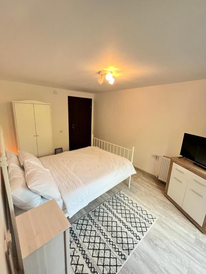 Hotel Cabana Din Padure Porumbacu de Sus Zewnętrze zdjęcie