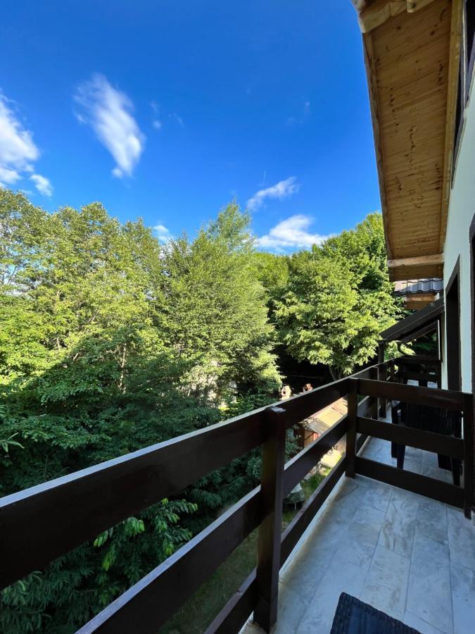Hotel Cabana Din Padure Porumbacu de Sus Zewnętrze zdjęcie