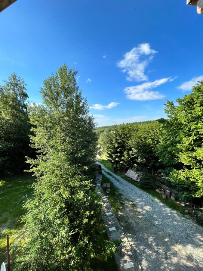 Hotel Cabana Din Padure Porumbacu de Sus Zewnętrze zdjęcie