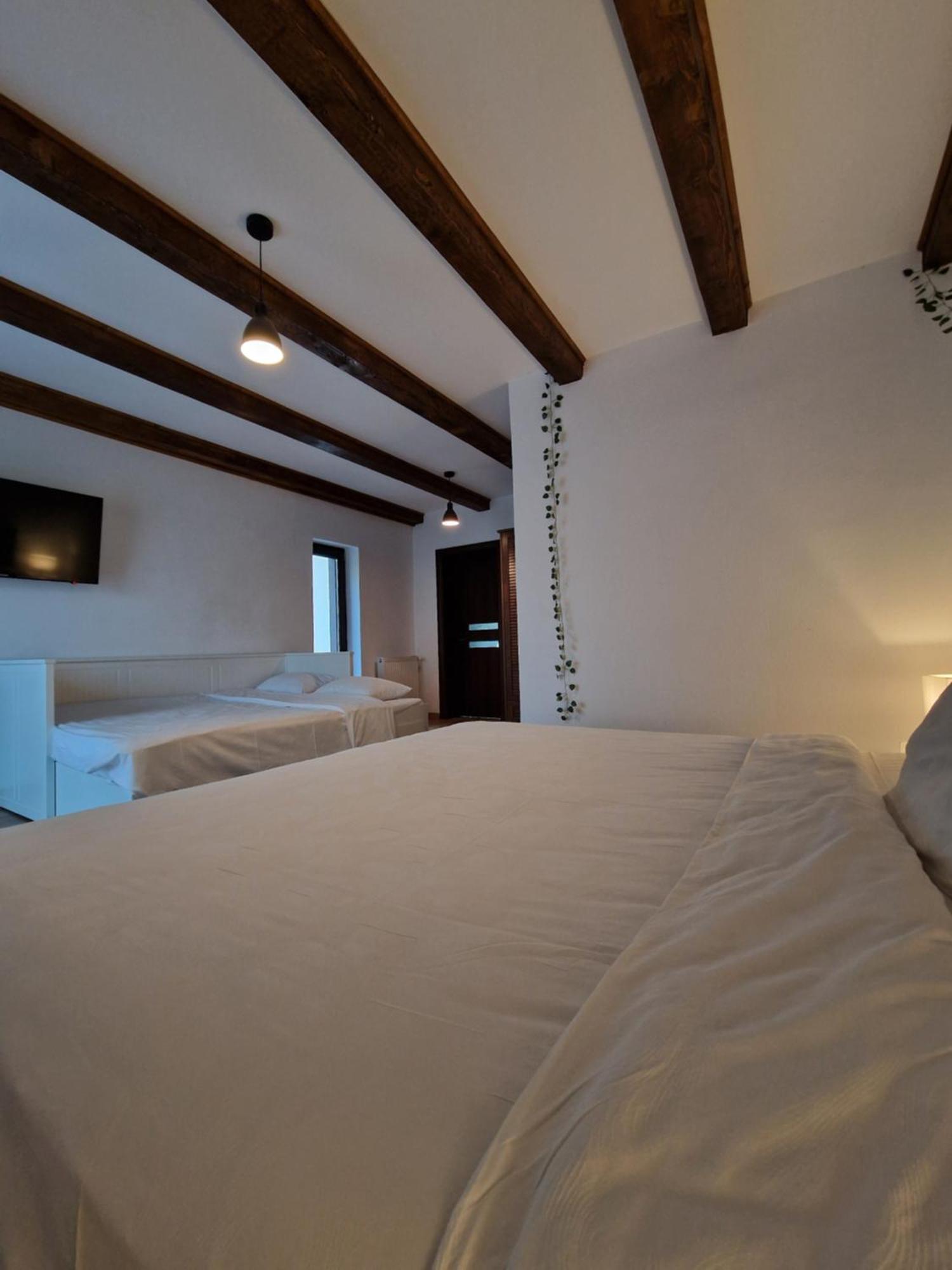 Hotel Cabana Din Padure Porumbacu de Sus Zewnętrze zdjęcie