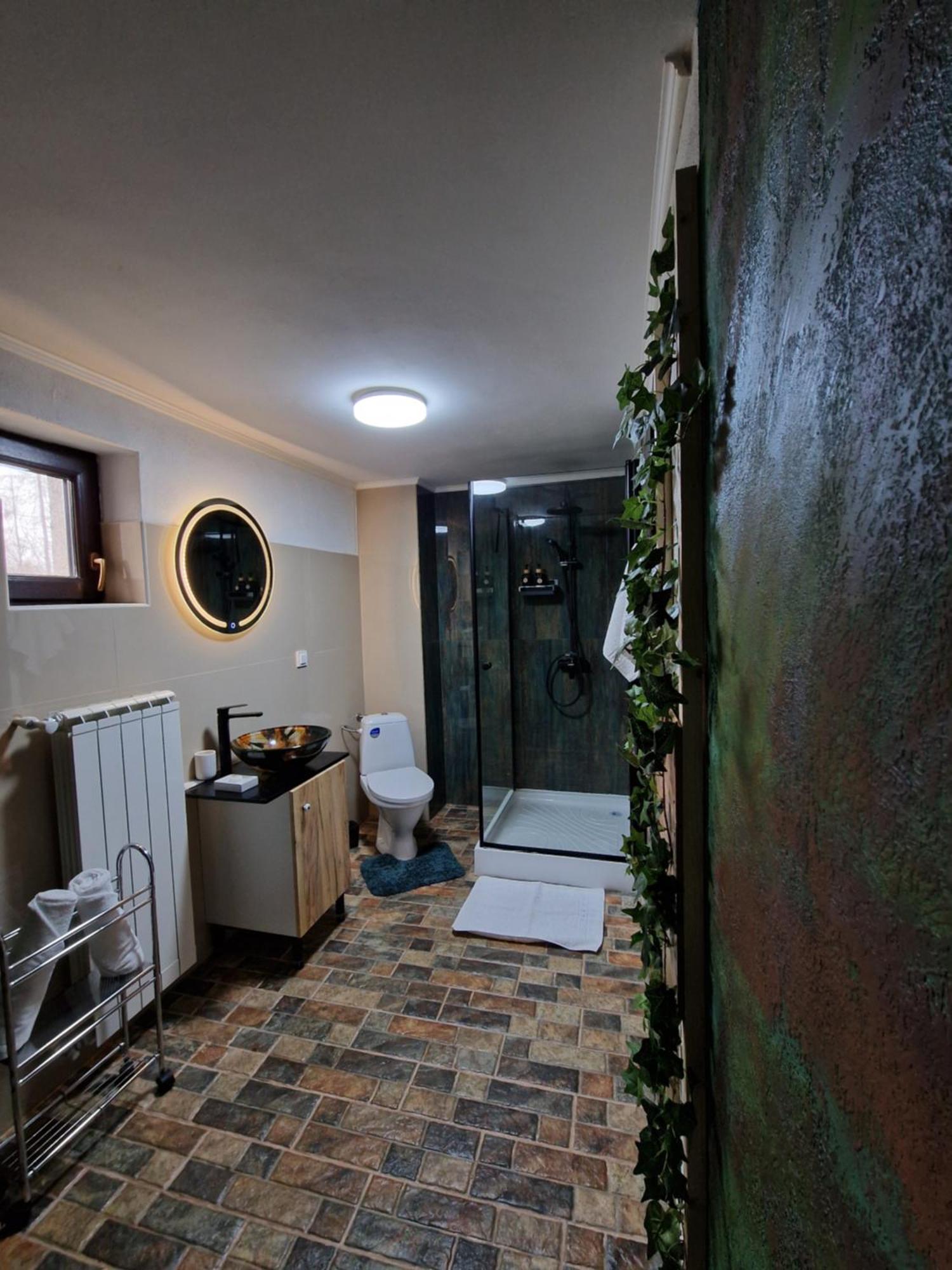 Hotel Cabana Din Padure Porumbacu de Sus Pokój zdjęcie